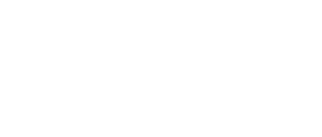 Lili Fashion logo